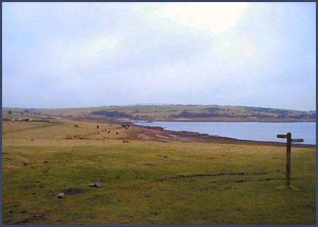 Coliford Lake