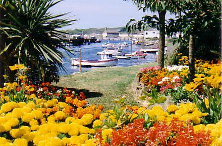 Hayle