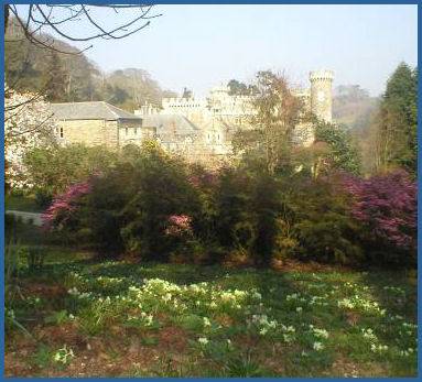 Caerhays Castle Gardens