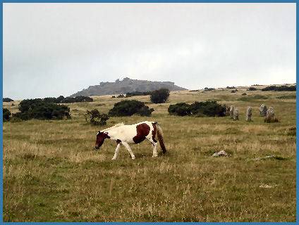 Bodmin Moor