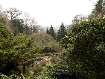 Cotehele House Gardens