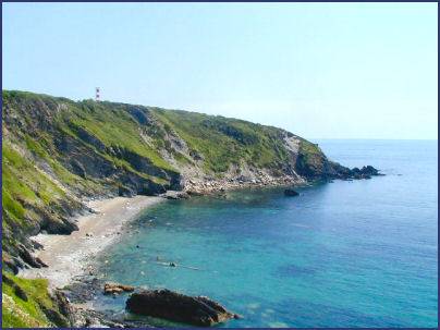 Gribbin Head