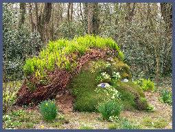 Lost Gardens of Heligan