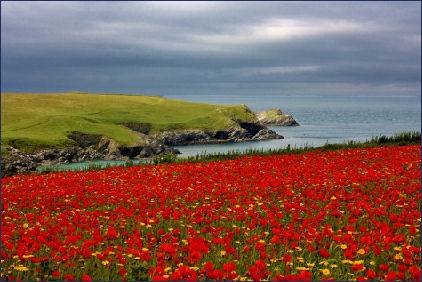 West Pentire