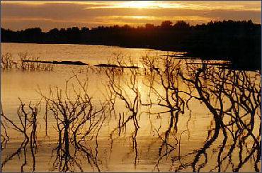 Colliford Lake