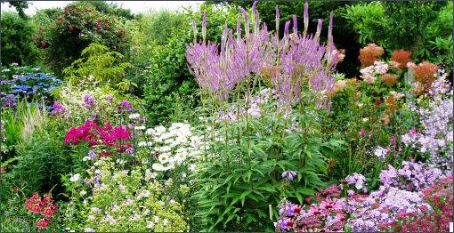 Poppy Cottage Garden