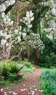 Tregrehan Garden